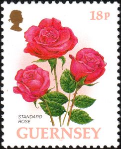 Collana cuore - Rose rosse (francobollo Guernsey 1992) - Lady Nostalgia