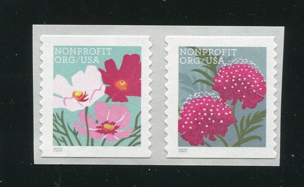 Segnalibro Omaggio - Crisantemi Fucsia USA - Lady Nostalgia