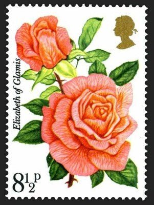 Segnalibro rosa inglese - Eleganza reale e tradizione botanica 🌹 - Lady Nostalgia