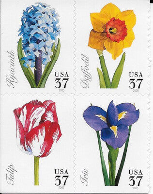 I francobolli americani dei fiori di primavera, da cui viene il tulipano della spilla