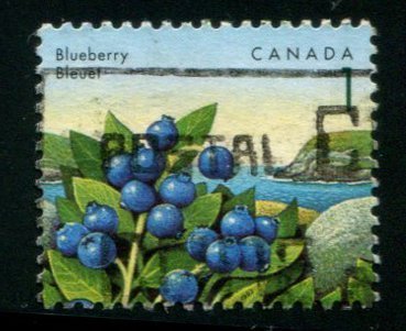 Orecchini chiave Mirtilli (francobollo Canada 1992) - Lady Nostalgia