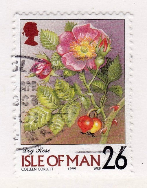 Collana romantica quadrata con rosa selvaggia dell'Isola di Man