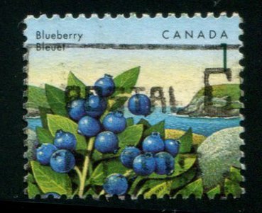 Segnalibro Mirtilli - Lady Nostalgia